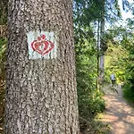 Harzpur - Pure Entspannung In Purer Appartamento Goslar