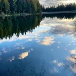 Harzpur - Pure Entspannung In Purer