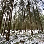 Harzpur - Pure Entspannung In Purer Appartamento