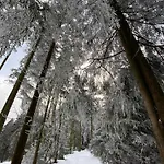 Harzpur - Pure Entspannung In Purer * Goslar