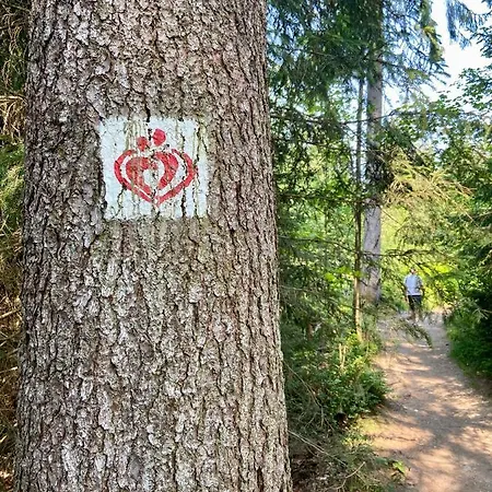 Harzpur - Pure Entspannung In Purer Apartmán Goslar