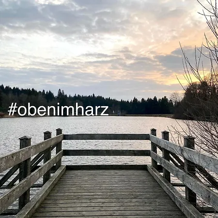 Harzpur - Pure Entspannung In Purer Lejlighed Goslar