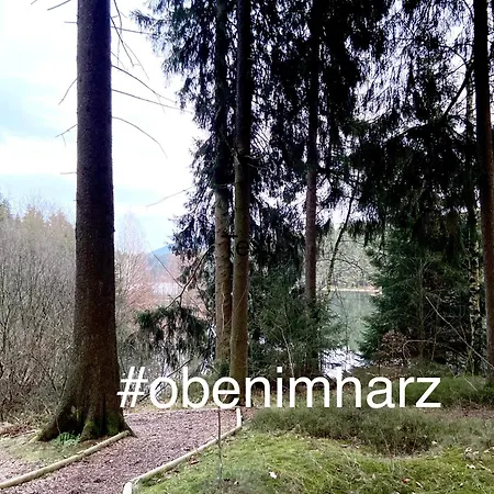 Lejlighed Harzpur - Pure Entspannung In Purer *