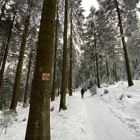 Harzpur - Pure Entspannung In Purer *