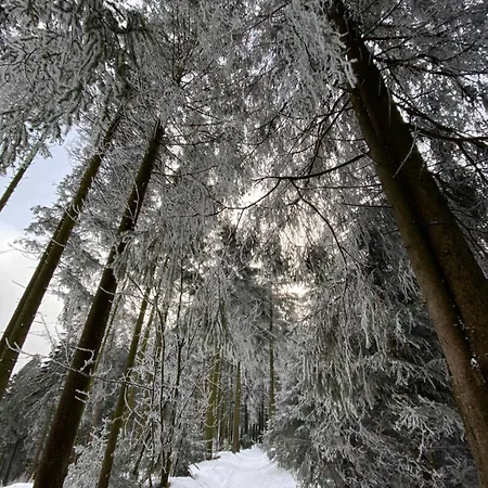 Harzpur - Pure Entspannung In Purer * Goslar