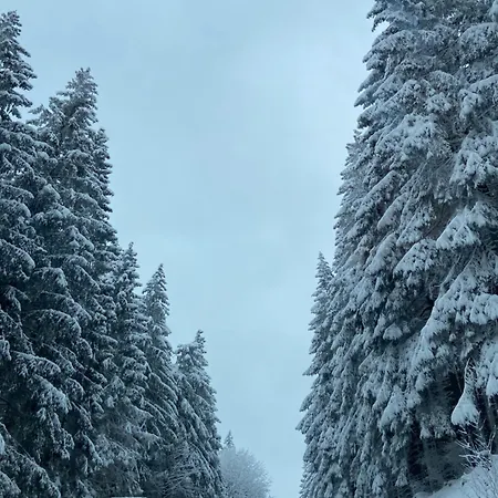 Harzpur - Pure Entspannung In Purer * Goslar